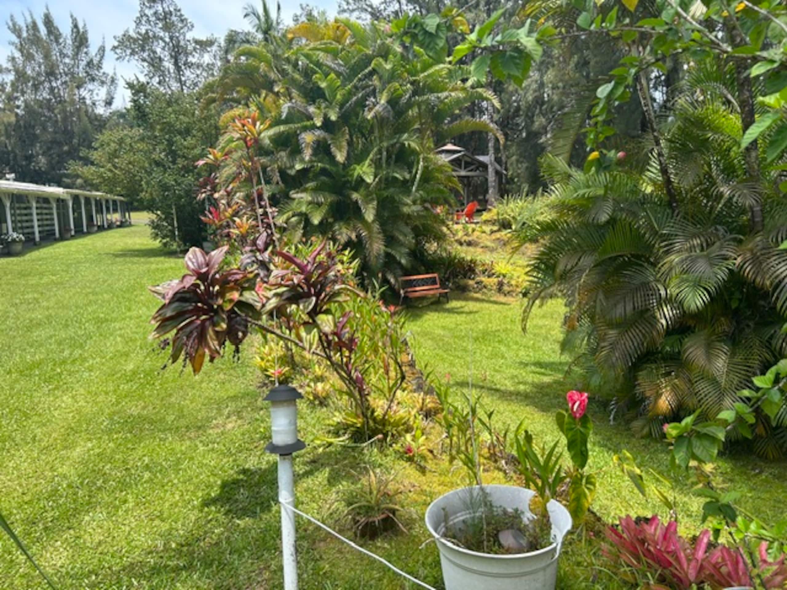 Fern Acres B&B - Photo 77