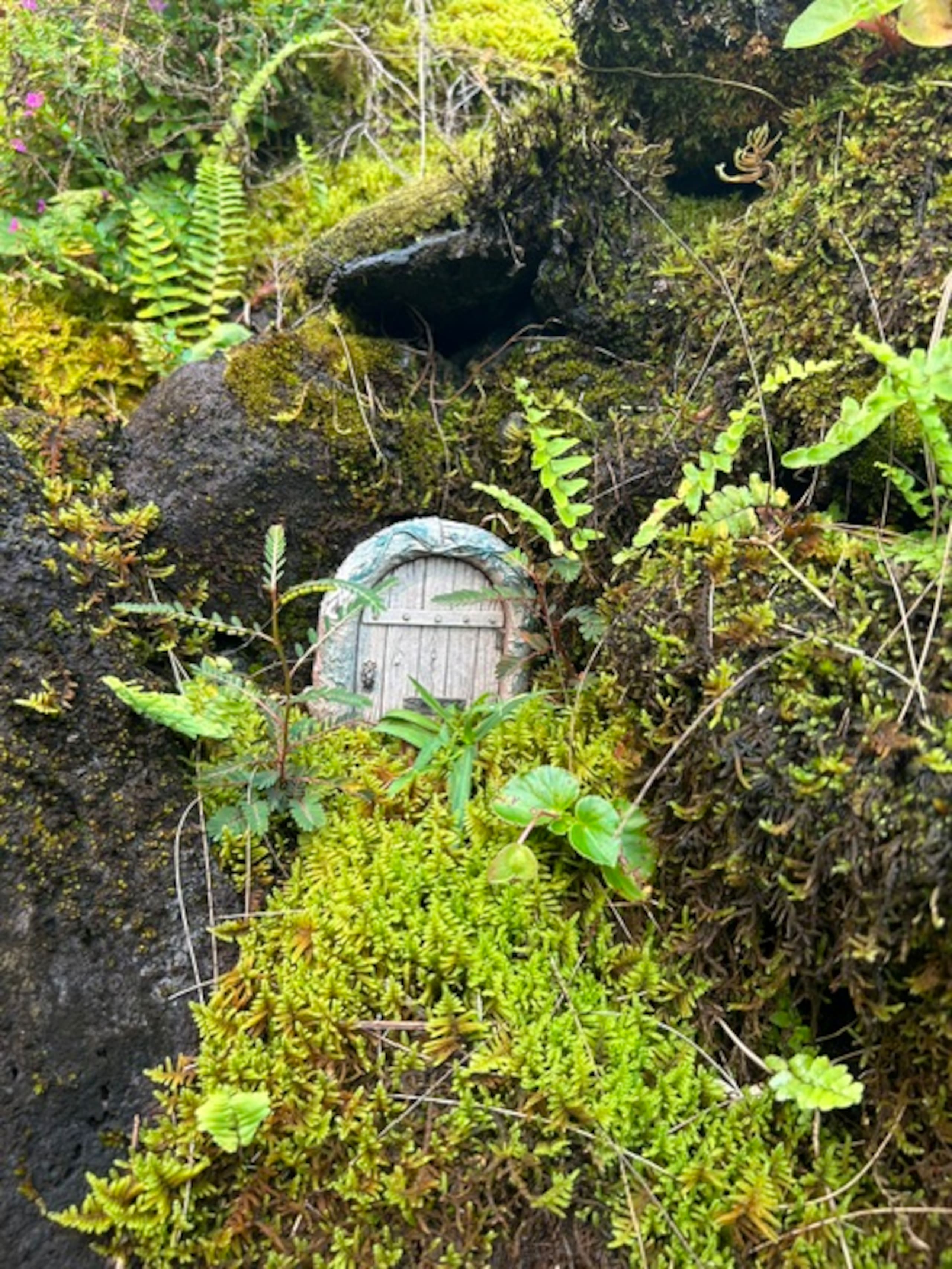 Fern Acres B&B - Photo 104