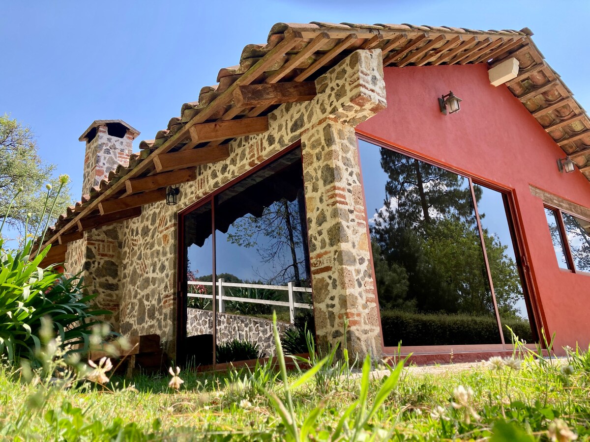 A charming cabin features a rustic stone exterior and a sloped roof. Large glass windows allow natural light to enter, while the surrounding grassy area is dotted with greenery. The structure is framed by trees, offering a serene setting amidst nature.