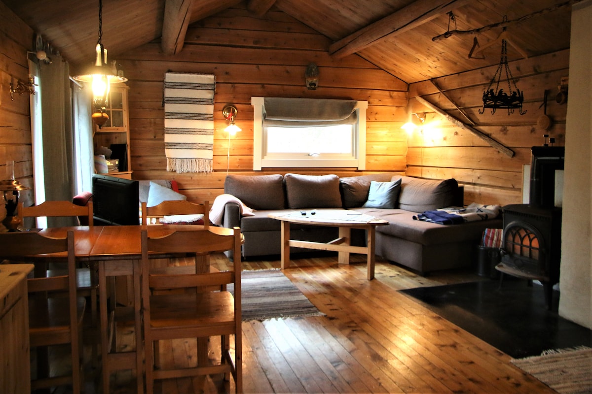 A warm living area features natural wood paneling and a mix of seating options, including a spacious sofa and wooden dining table. A cozy wood stove adds to the comfort, while light filters through a window adorned with a simple treatment.