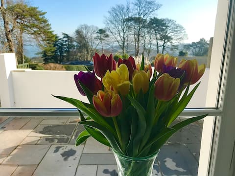 Top performing Airbnb: Beautiful Victorian flat with lovely views in Torbay