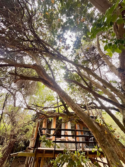 15 min from the beach, pool, and steps from the Maule River