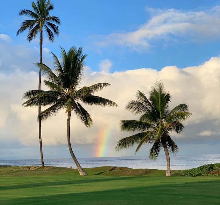 Gen E Feb Apri @ Oceanfront Resortvolcanoviewtennis Hottub, Pool, Workoutrm - Maui, HI