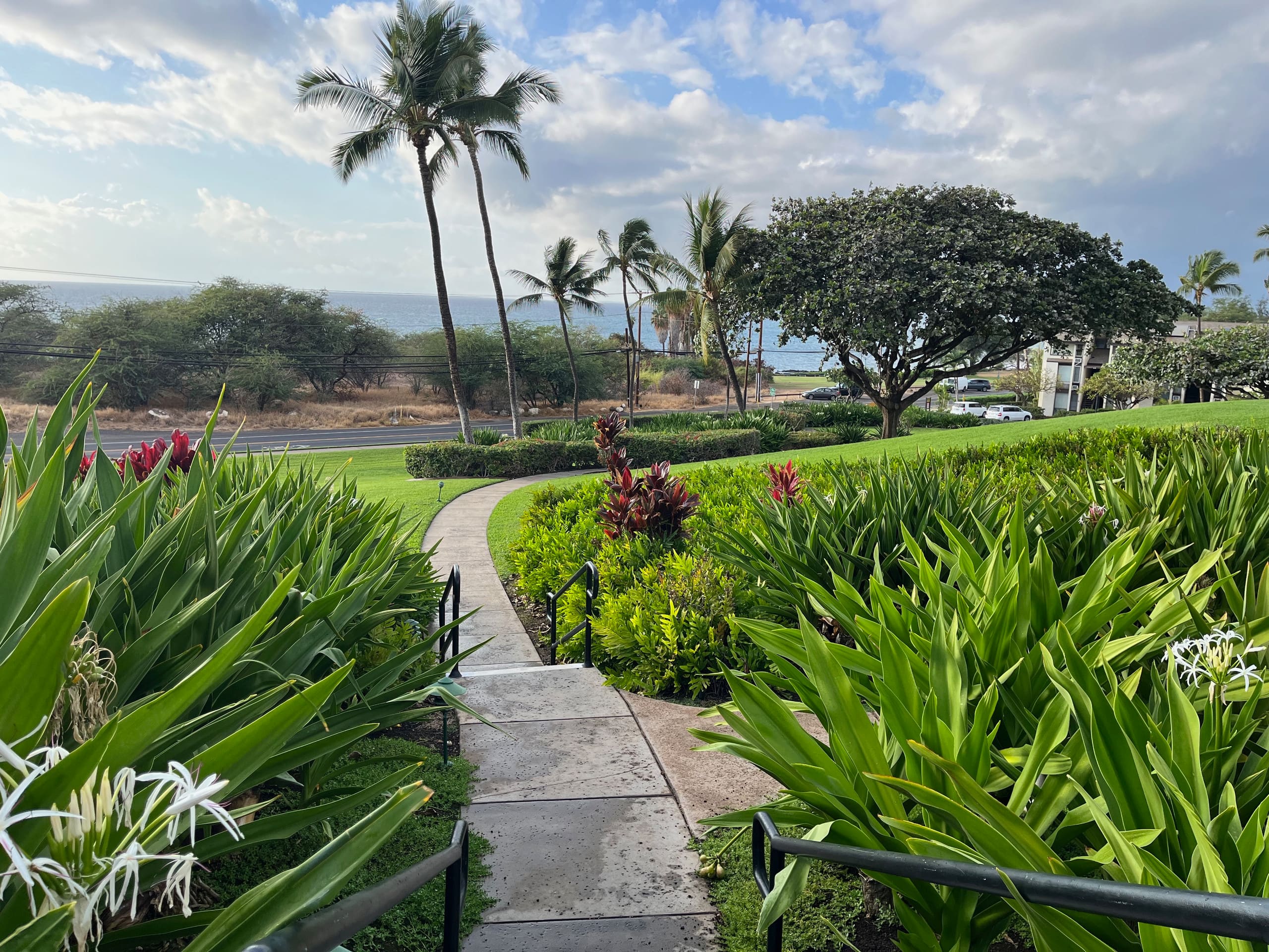 Condo in Kihei · ★4.98 · 1 bedroom · 1 bed · 2 baths - Image 18
