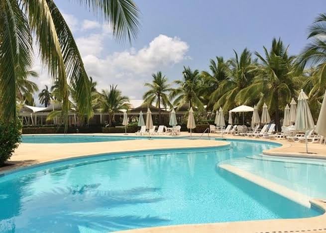 An inviting outdoor pool area is surrounded by palm trees and lush greenery. Comfortable lounge chairs are arranged around the pool, with umbrellas providing shade. The clear blue water reflects the sunny sky, enhancing the relaxed ambiance of the space.