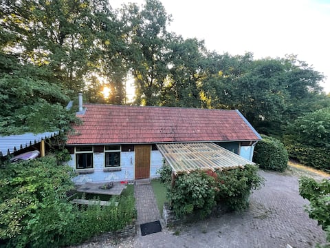 seventies guesthouse by the lake
