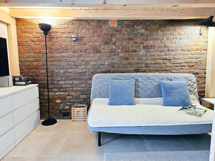 Studio V - Industrial & Original - Old Town - Cluj-Napoca