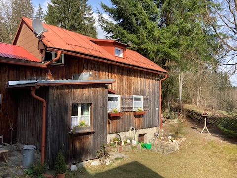 Hexenhaus am Waldrand - Fichtelsee