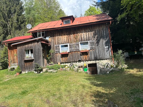Hexenhaus am Waldrand - Fichtelsee