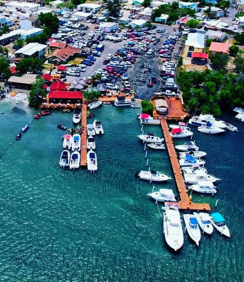Aerial view of a vibrant marina with numerous boats docked along wooden piers. Surrounding areas showcase colorful buildings, parked vehicles, and lush greenery, all set against the clear blue water. The layout highlights a busy and accessible harbor environment.