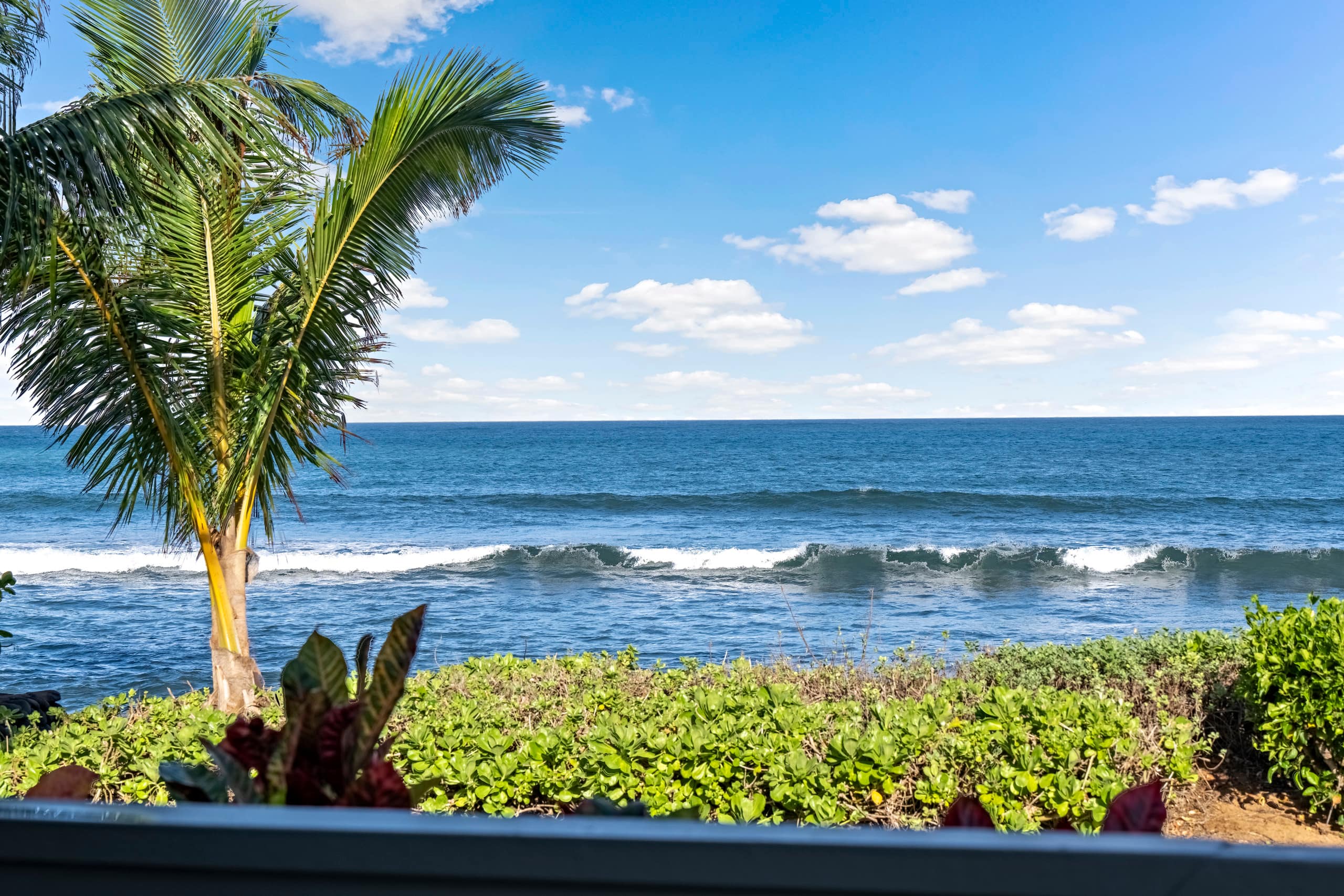 Palm Surf Bungalow - Photo 23