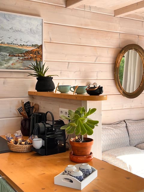 Successful Airbnb property: Cabin + HOT TUB + Sea in Trégunc