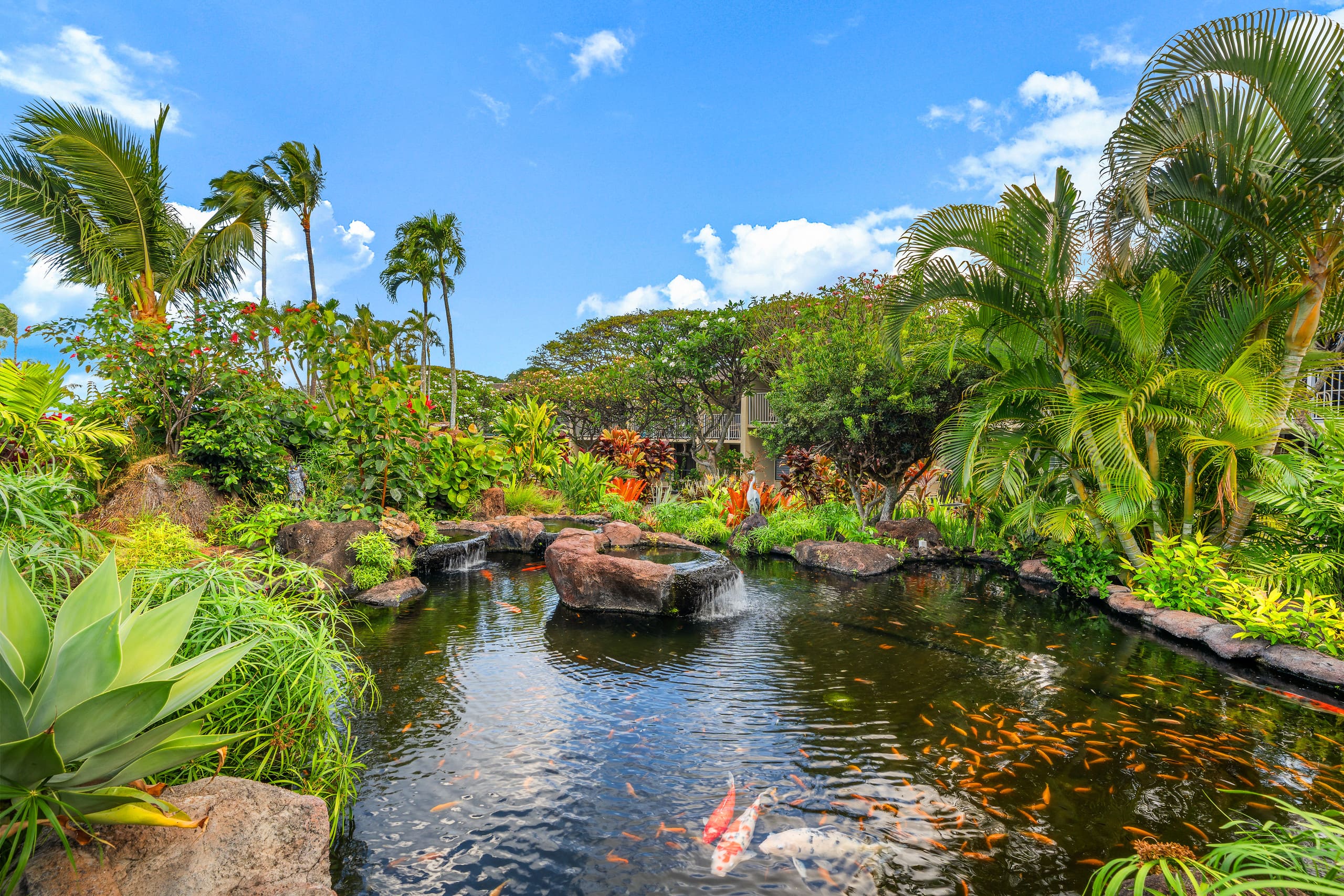 Condo in Lahaina · ★4.4 · 1 bedroom · 2 beds · 1 bath - Image 22