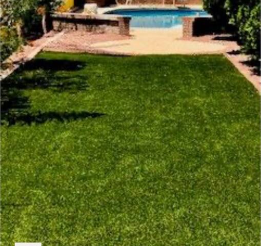 12 Beds(5 Bdrm) Large Home in Prime Area gallery image 3