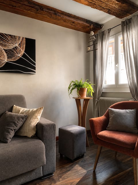 Successful Airbnb property: La Chouette House, historic center, closed garage in Obernai