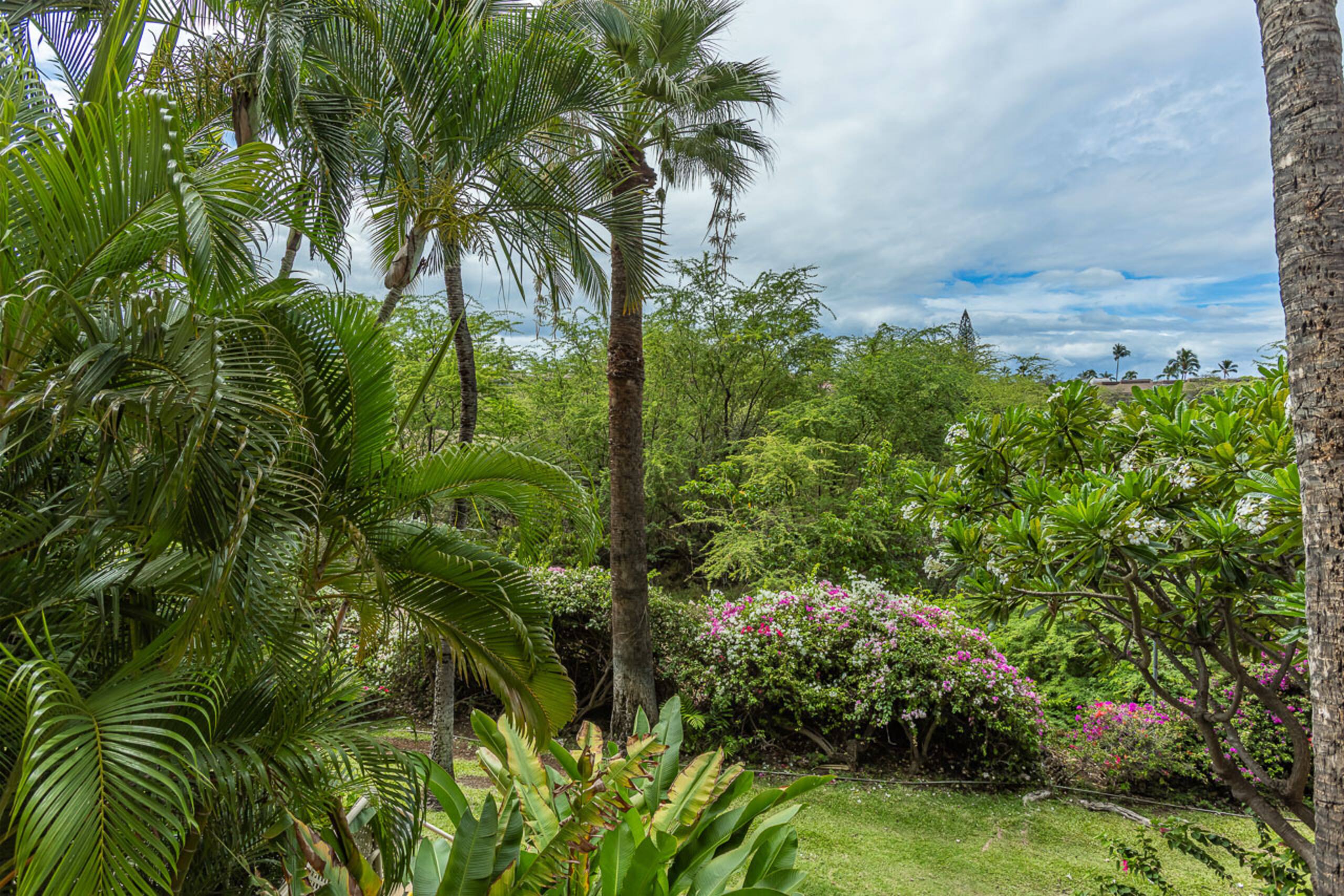 Condo in Kihei · ★4.91 · 1 bedroom · 2 beds · 2 shared baths - Image 29
