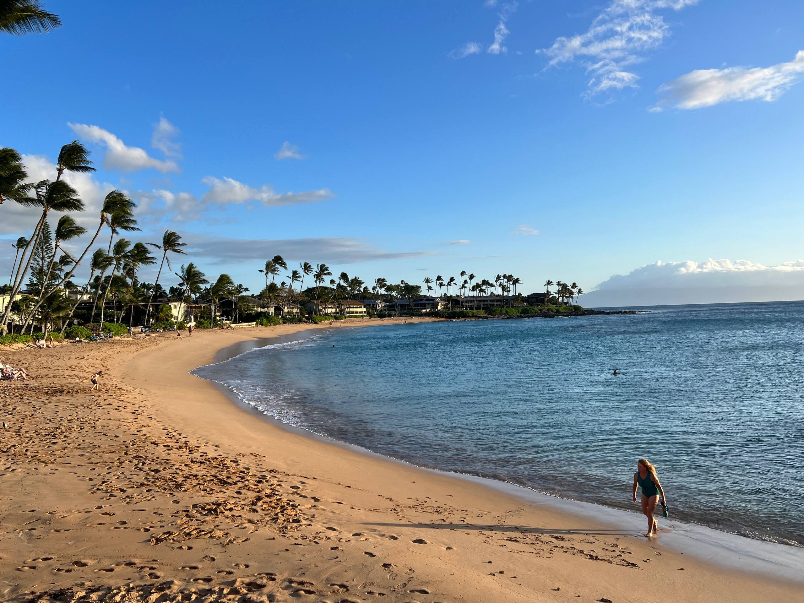 Resort in Lahaina · ★4.85 · Studio · 2 beds · 1 private bath - Image 21