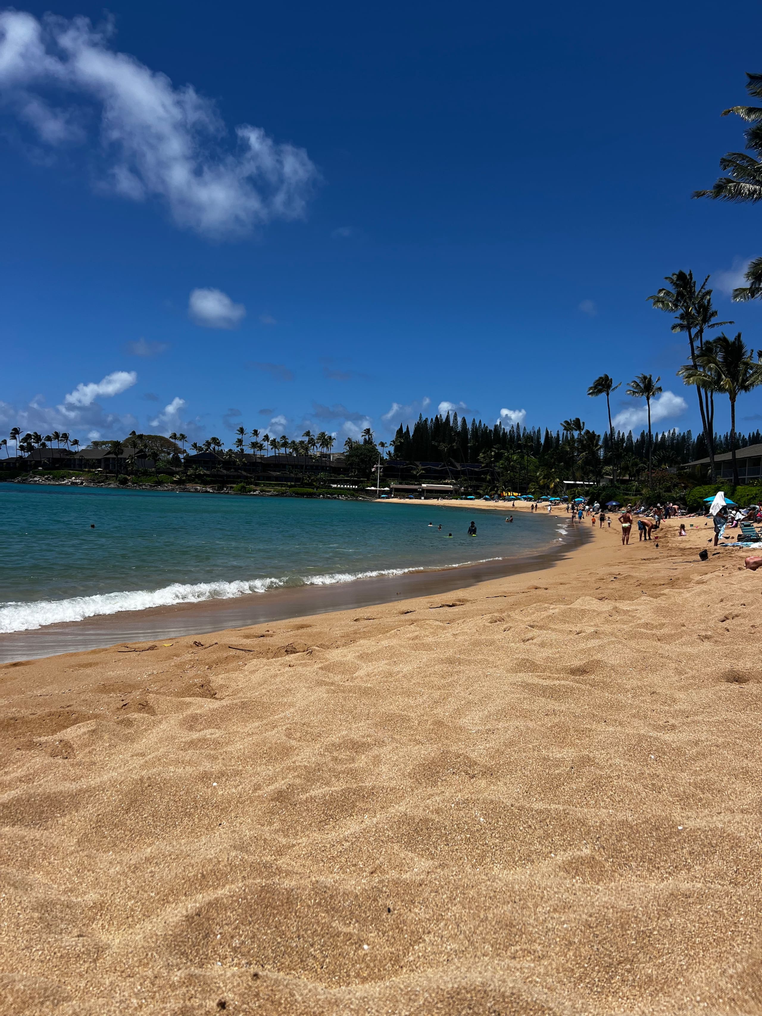 Resort in Lahaina · ★4.85 · Studio · 2 beds · 1 private bath - Image 18