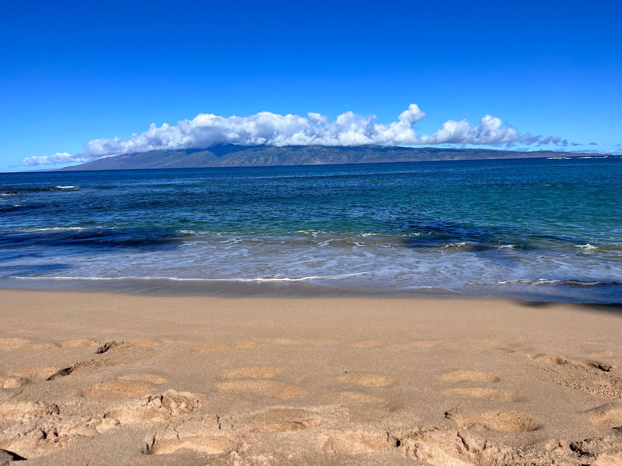 Resort in Lahaina · ★4.85 · Studio · 2 beds · 1 private bath - Image 16