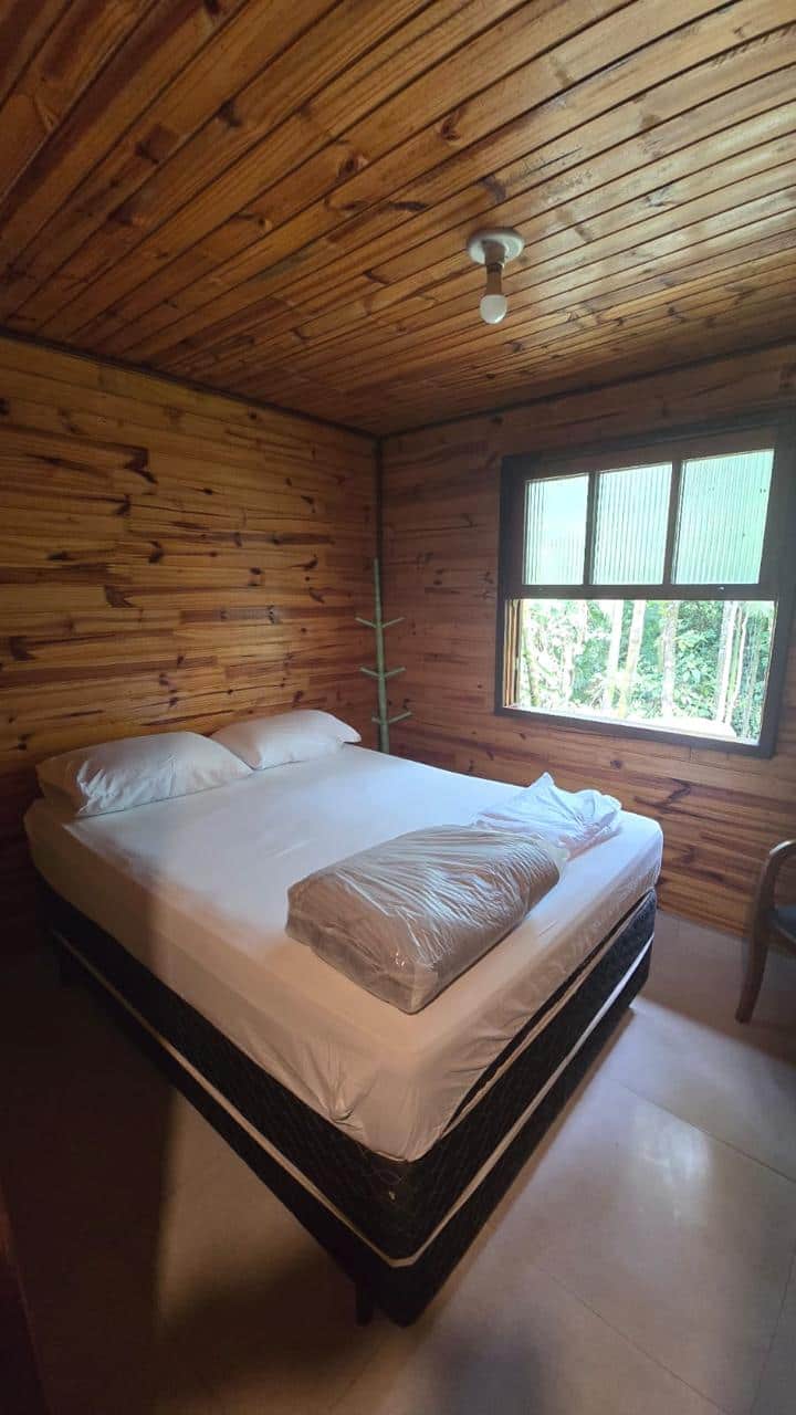 Quarto 2