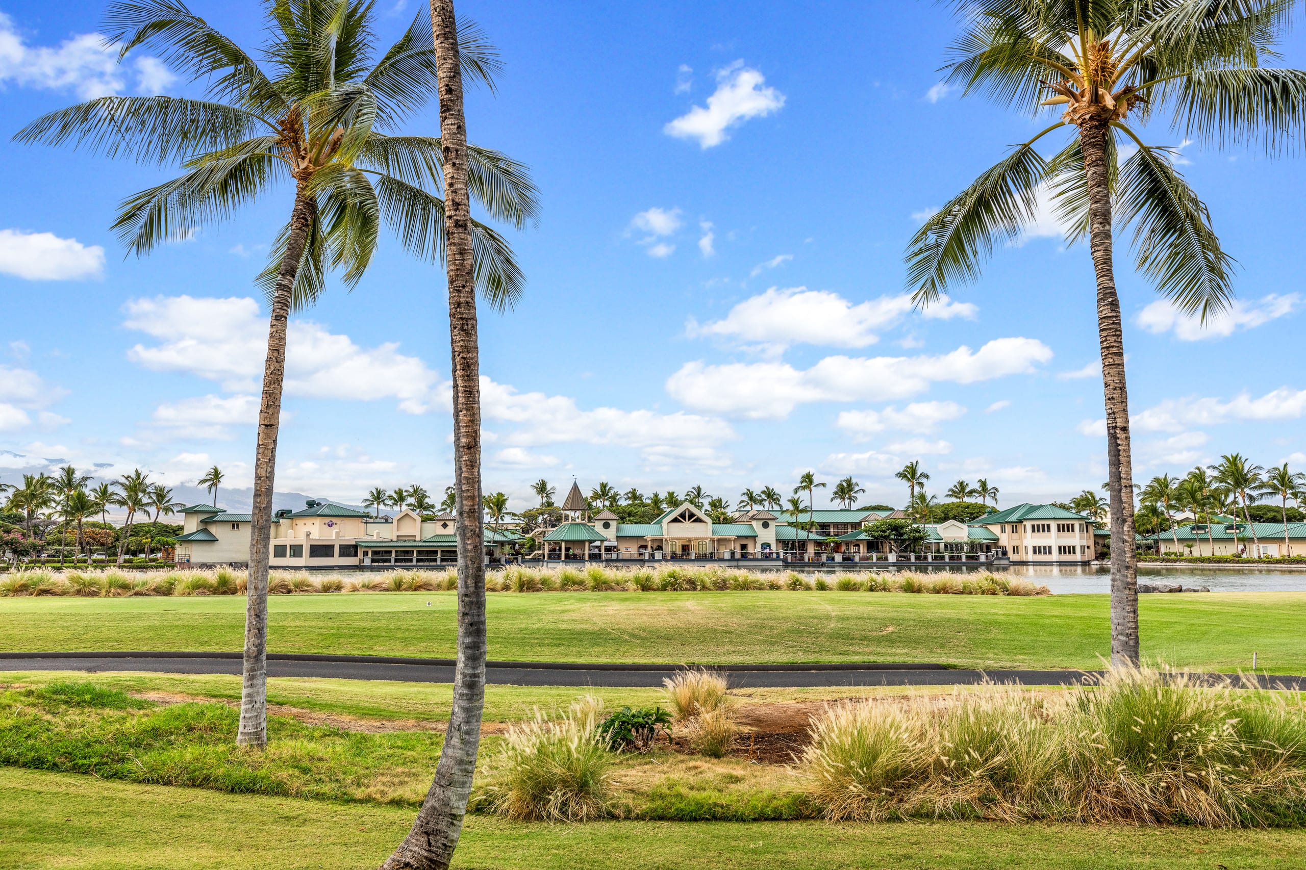 Waikoloa Beach Fairway Villas - Photo 9