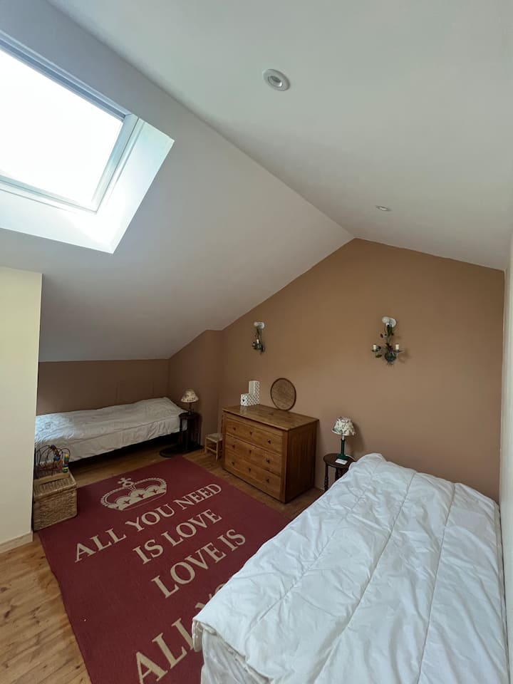 Საბავშვო ოთახი ჭერის ქვეშ (ველუქსი უშუქო ჟალუზით). 2 ერთადგილიანი საწოლი.