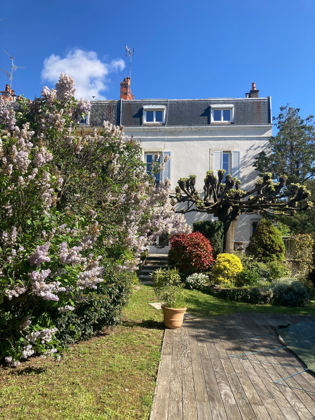 A well-maintained garden area showcases a variety of flowering plants and shrubs in vibrant colors. A wooden deck extends towards the house, framed by lush greenery and trees. Sunlight illuminates the scene under a clear blue sky, creating a serene outdoor environment.