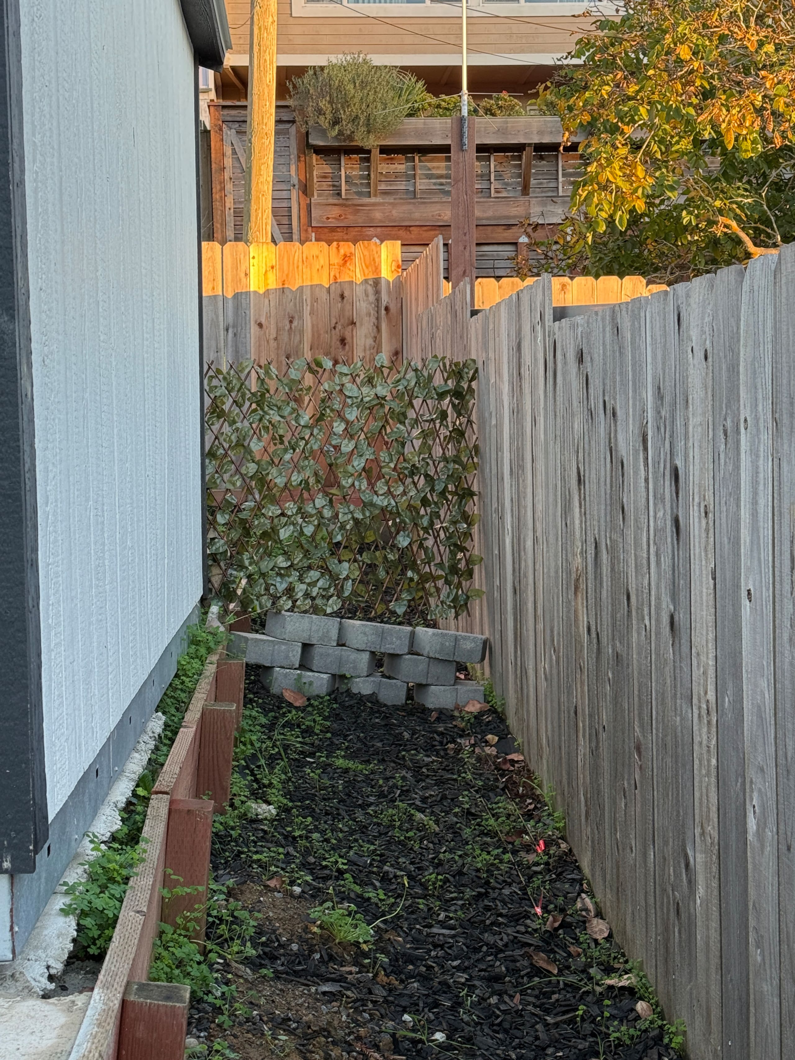Home in South San Francisco · ★4.92 · 2 bedrooms · 2 beds · 1 private bath - Image 32