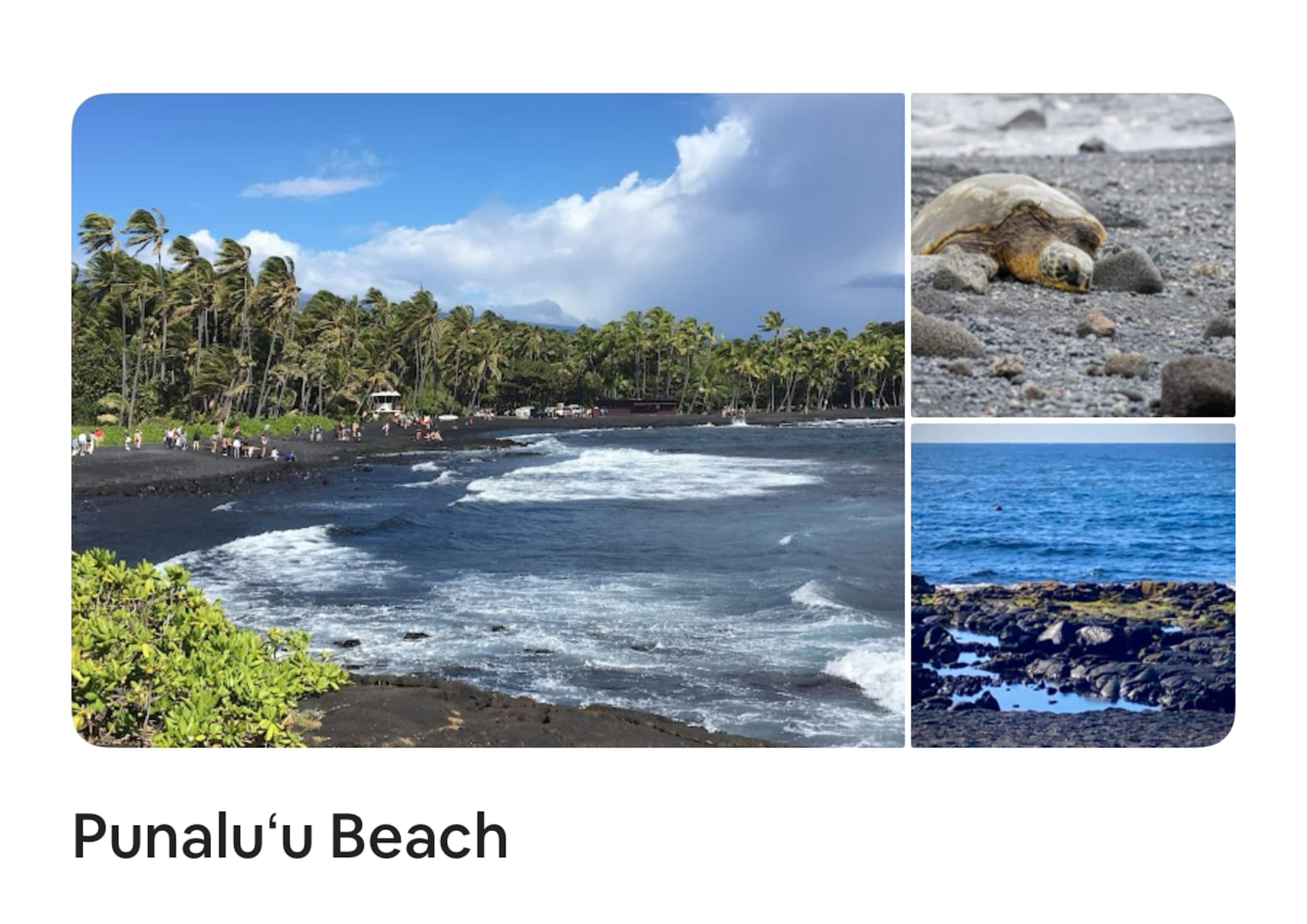 Guesthouse in Kailua-Kona · ★4.95 · 1 bedroom · 1 bed · 1 private bath - Image 42