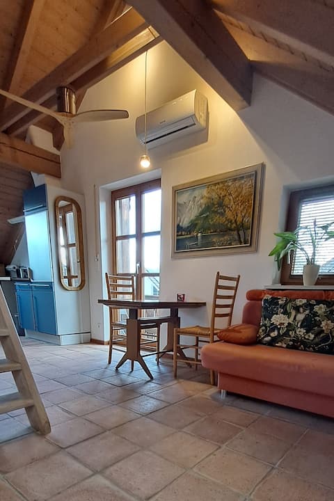 Successful Airbnb property: Apartment with balcony in Munich