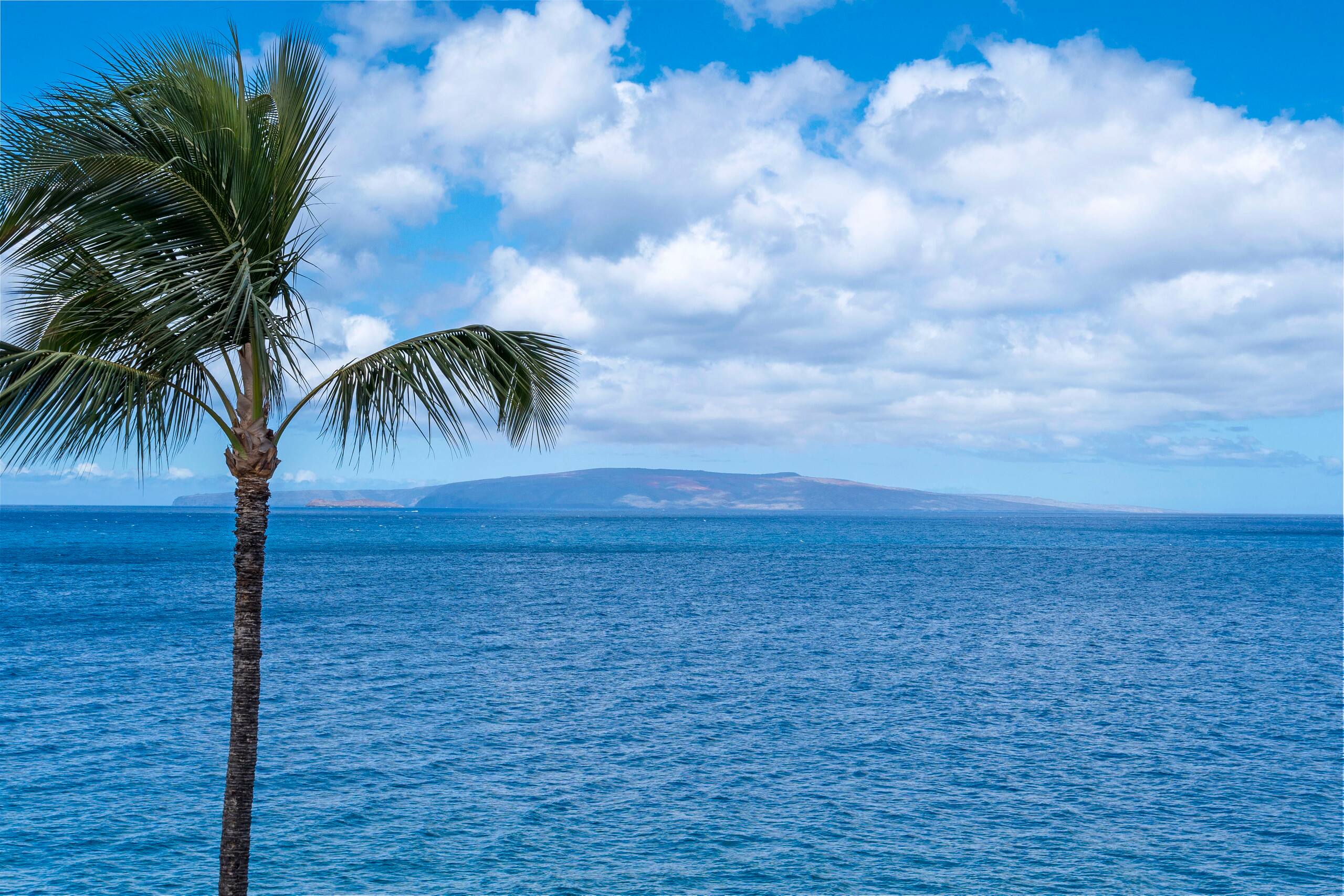 Condo in Kihei · ★4.0 · 2 bedrooms · 4 beds · 2 baths - Image 30