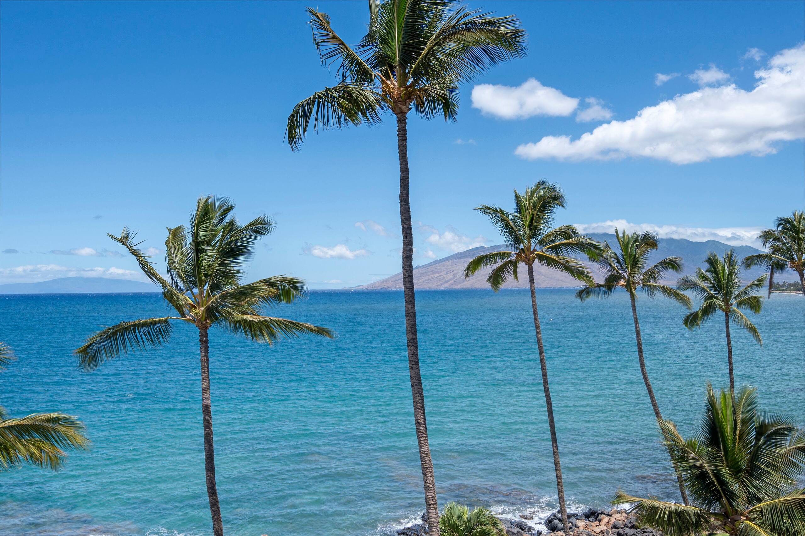 Condo in Kihei · ★4.0 · 2 bedrooms · 4 beds · 2 baths - Image 31