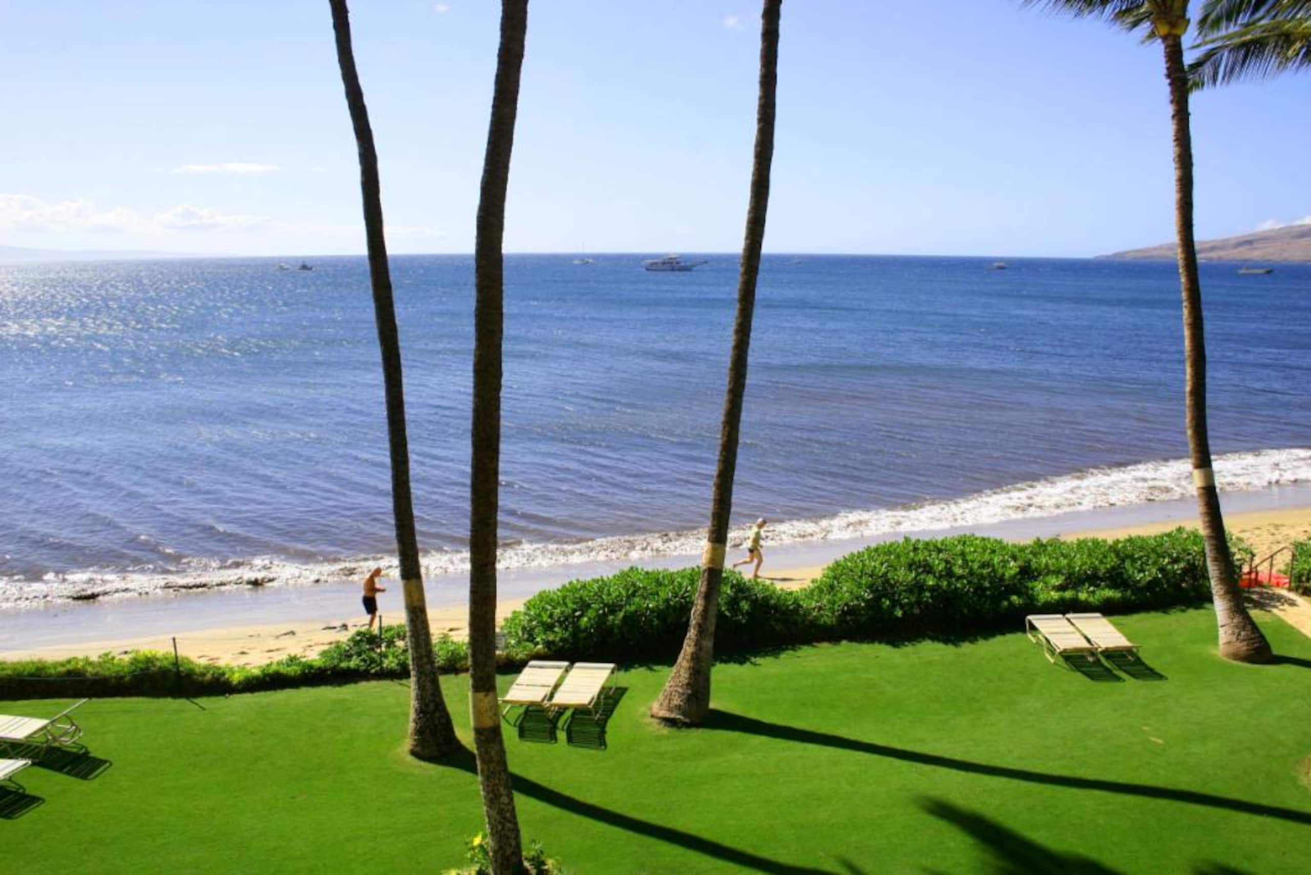 Condo in Kihei · ★4.83 · 1 bedroom · 2 beds · 1 bath - Image 8