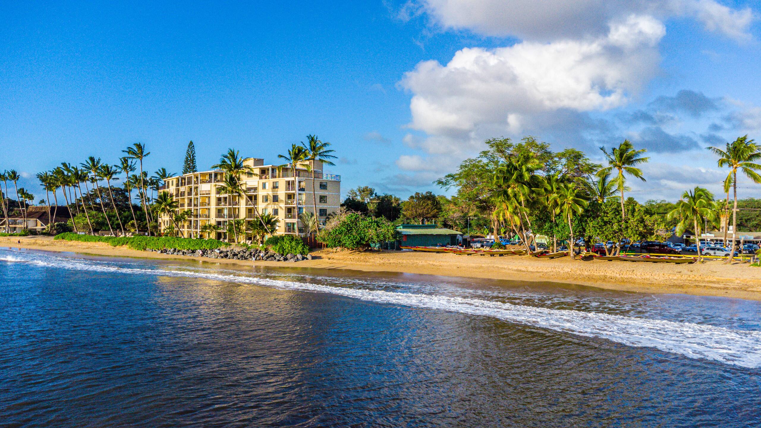 Condo in Kihei · ★4.8 · 1 bedroom · 2 beds · 2 baths - Image 37