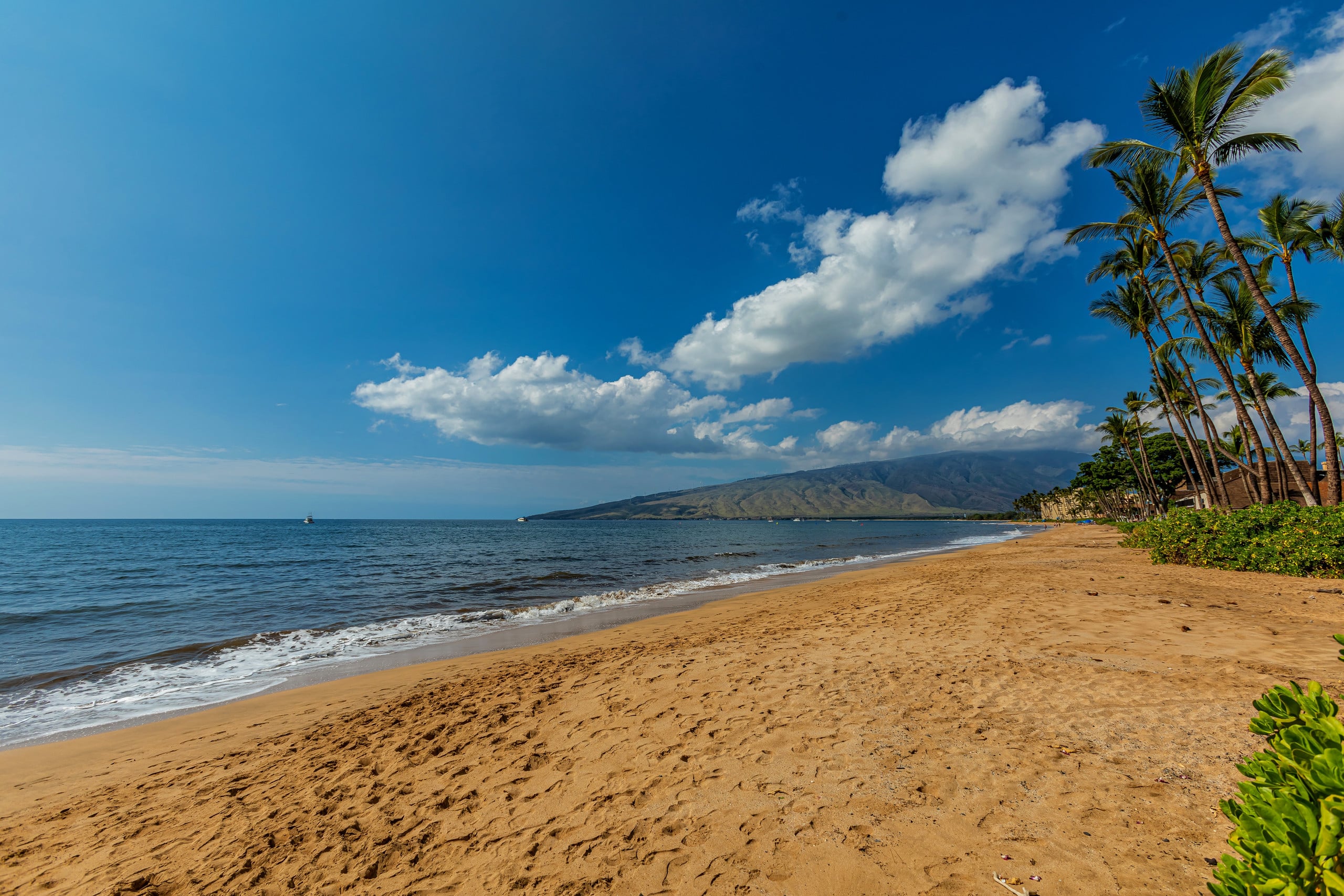 Condo in Kihei · ★5.0 · 1 bedroom · 2 beds · 2 baths - Image 29