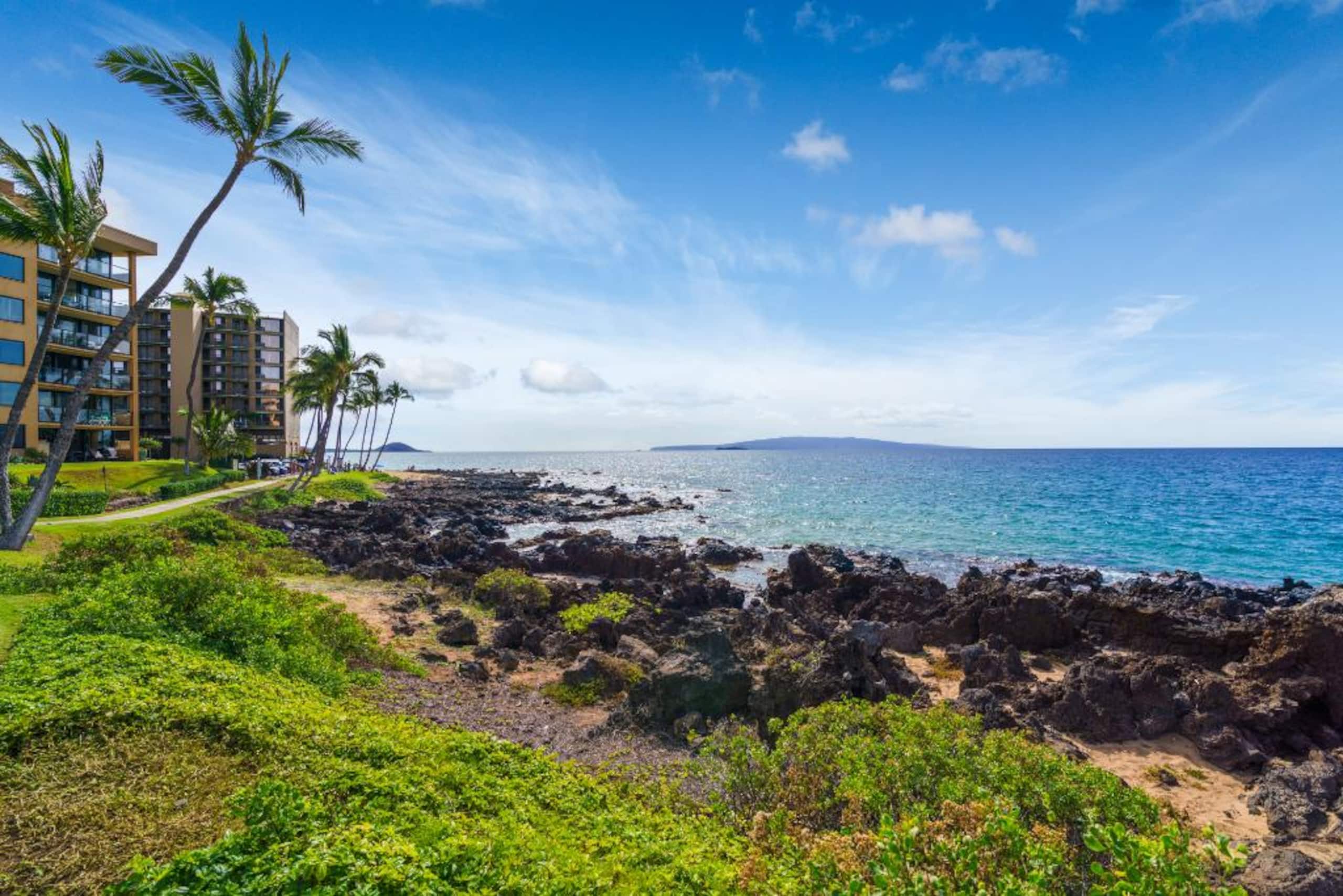 Condo in Kihei · ★4.83 · 1 bedroom · 2 beds · 1.5 baths - Image 23