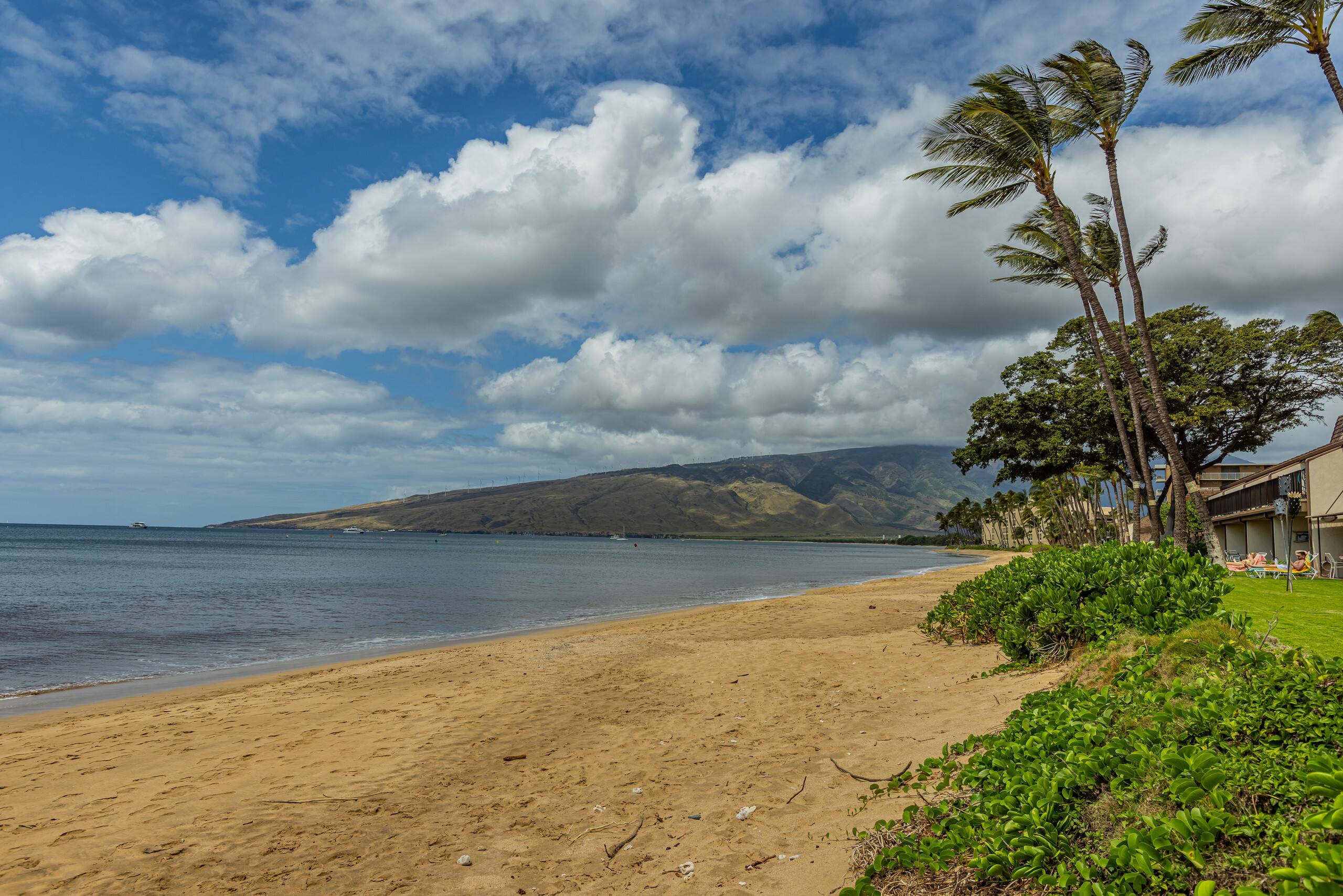 Condo in Kihei · ★4.25 · 2 bedrooms · 4 beds · 2 baths - Image 42