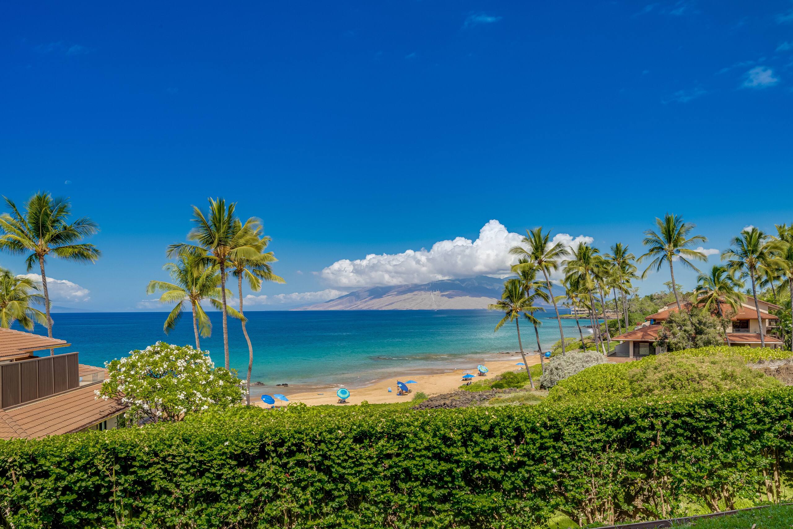 Condo in Makena, Maui · ★4.75 · 2 bedrooms · 3 beds · 2 baths - Image 3