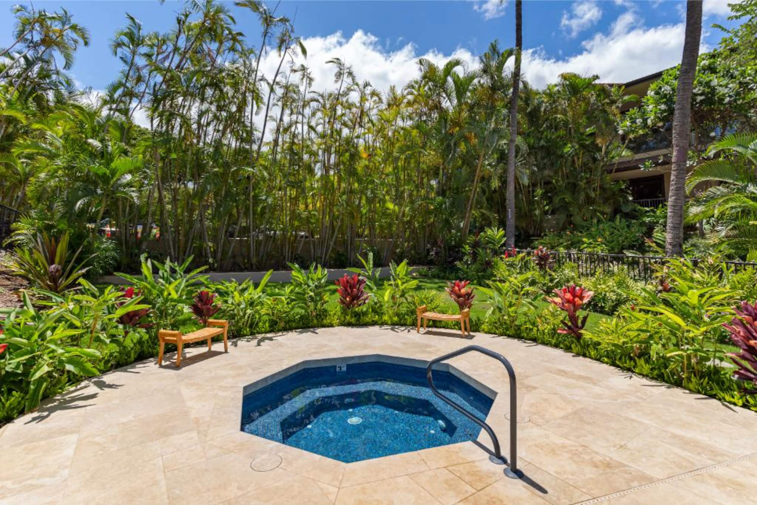 Condo in Makena, Maui · ★4.75 · 2 bedrooms · 3 beds · 2 baths - Image 43