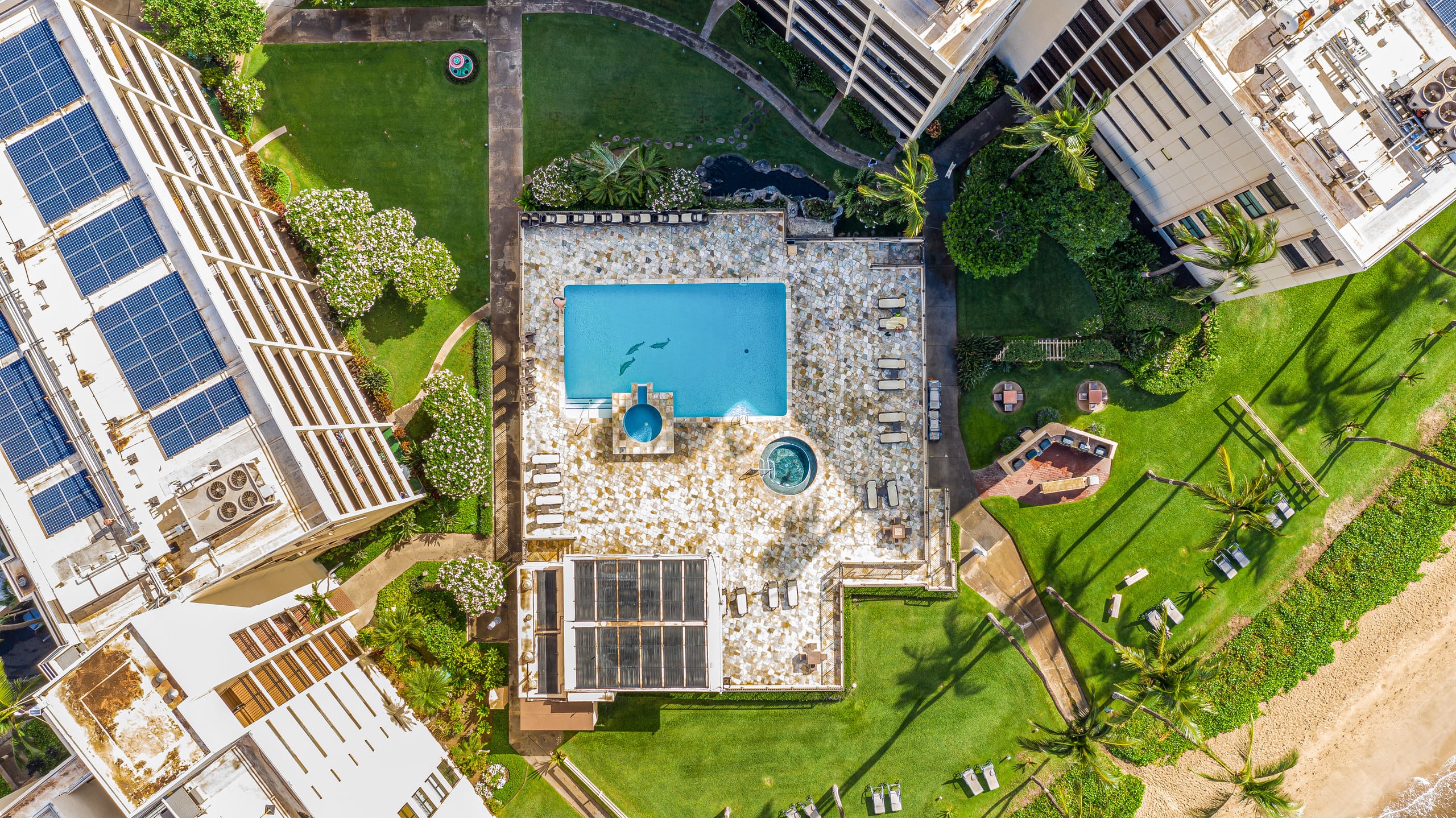 Condo in Kihei · ★5.0 · 2 bedrooms · 3 beds · 2 baths - Image 43