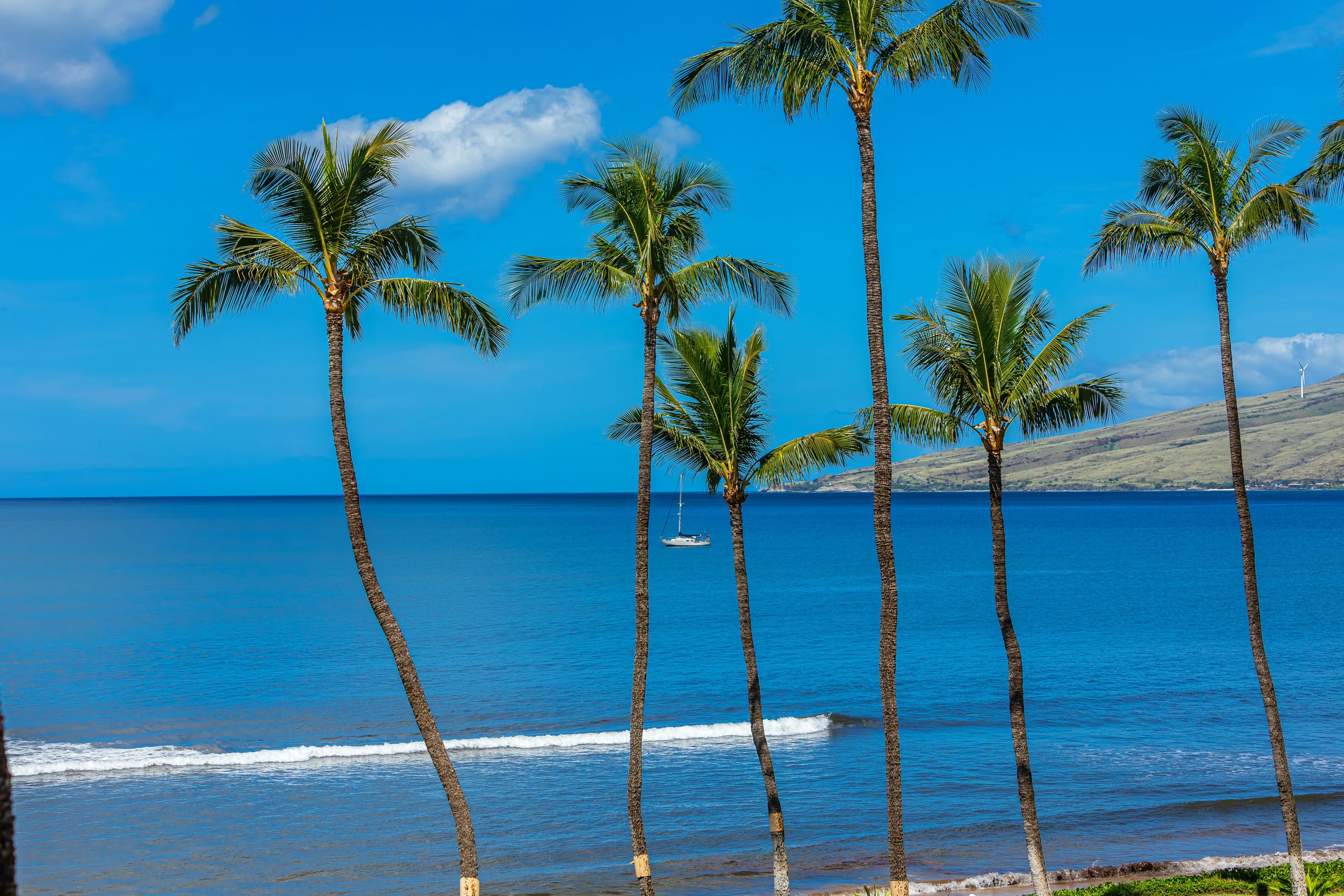 Condo in Kihei · ★5.0 · 2 bedrooms · 3 beds · 2 baths - Image 32