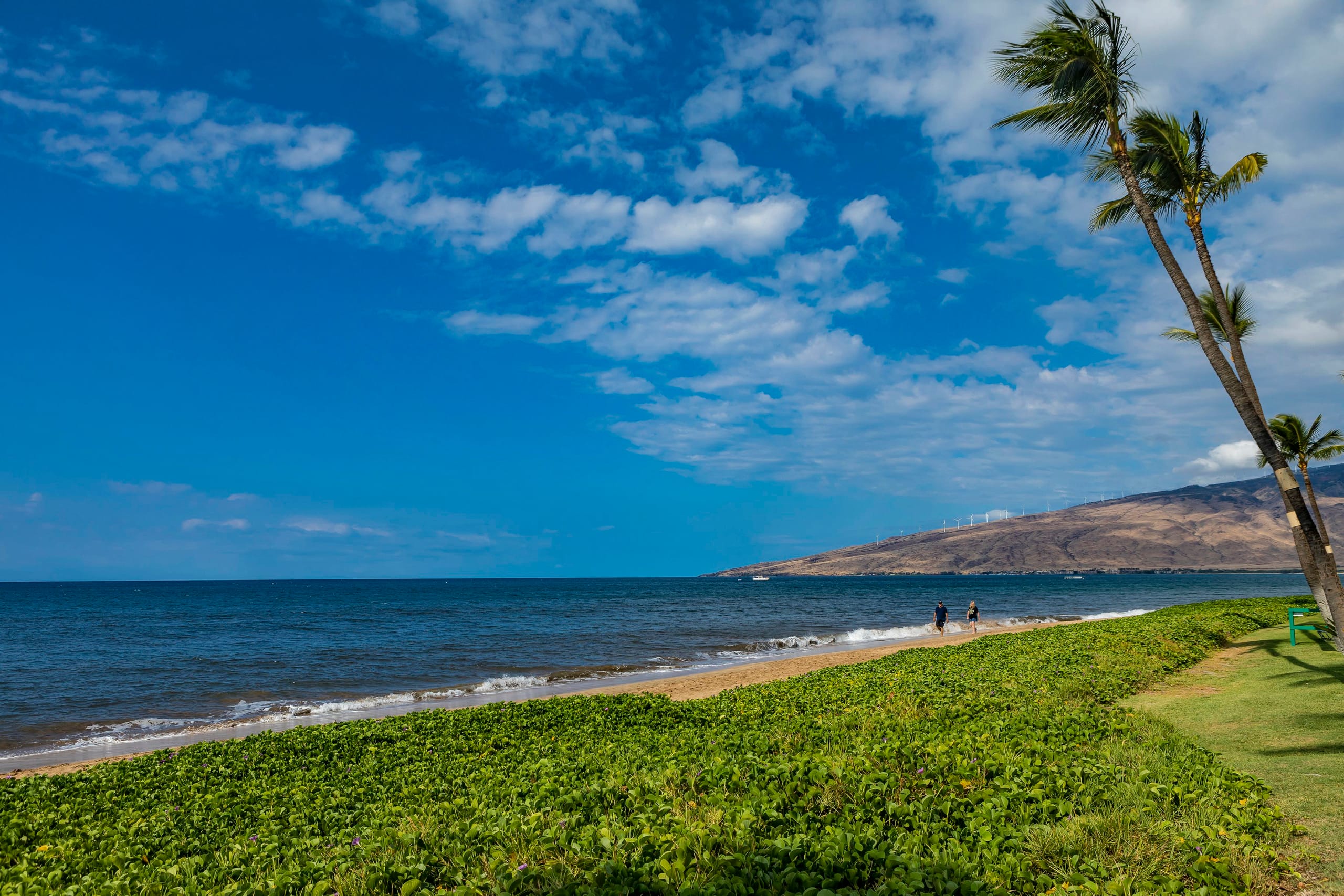 Condo in Kihei · ★5.0 · 2 bedrooms · 3 beds · 2 baths - Image 33