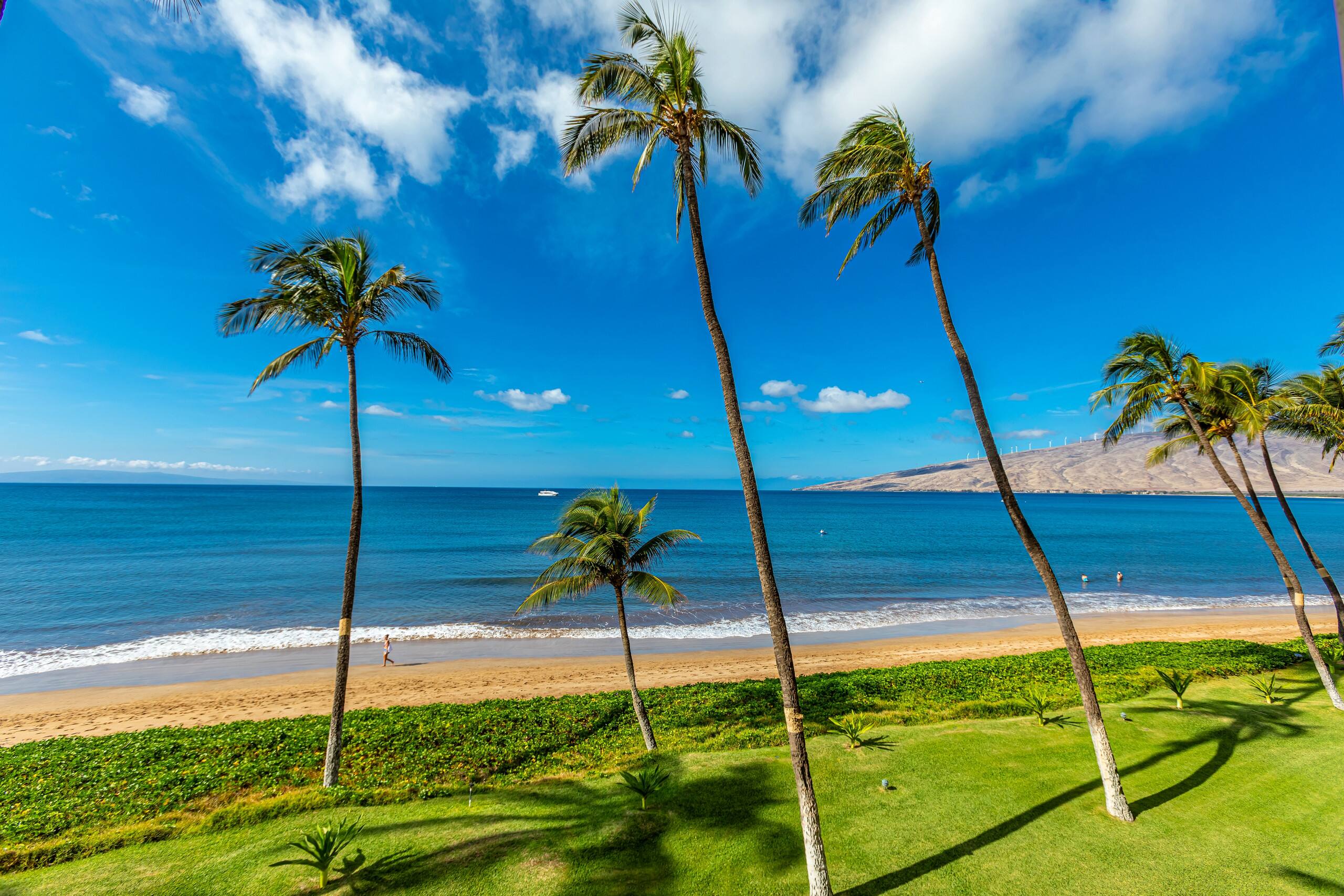 Condo in Kihei · ★5.0 · 2 bedrooms · 3 beds · 2 baths - Image 29