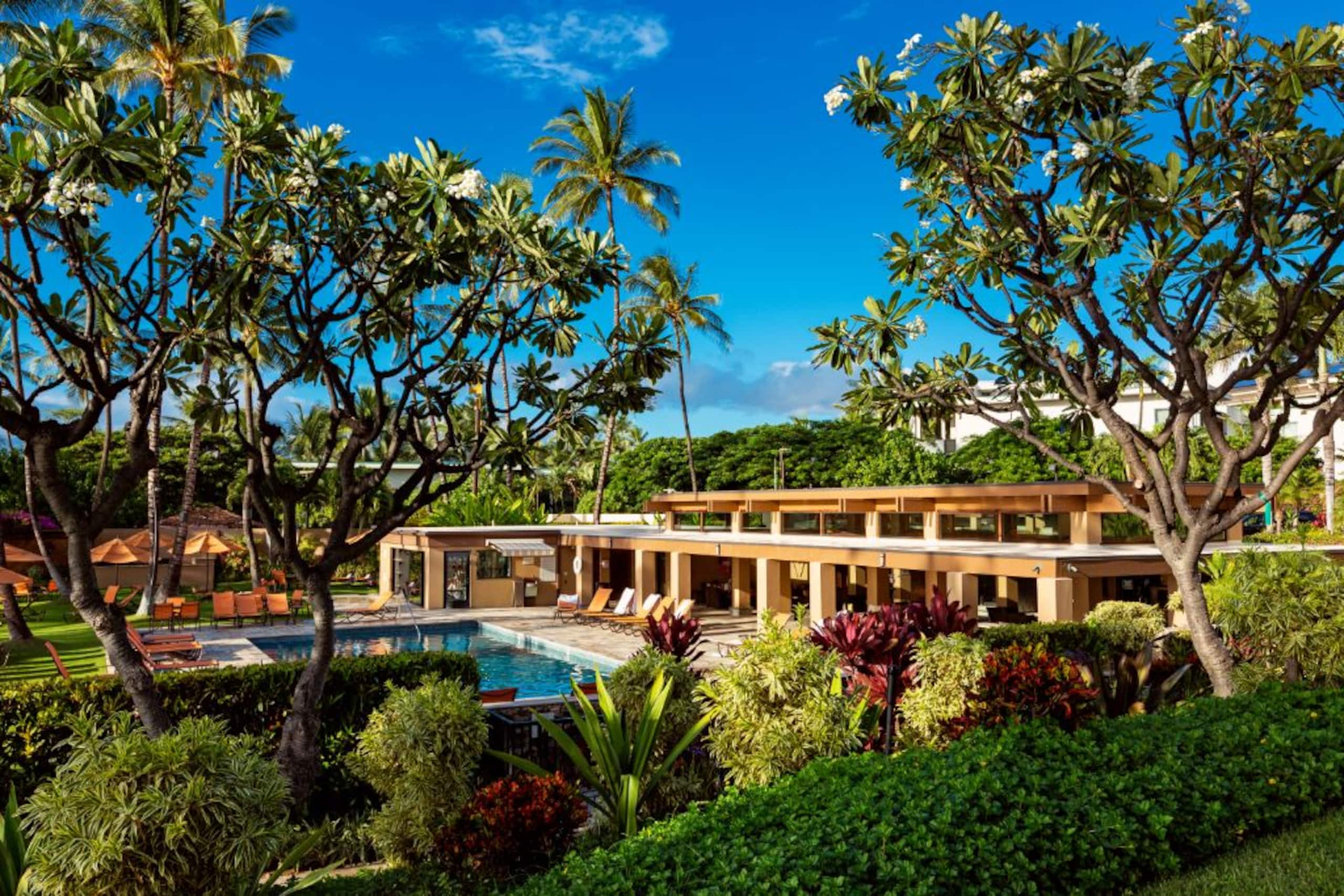 Condo in Wailea · ★4.88 · 2 bedrooms · 3 beds · 2 baths - Image 24
