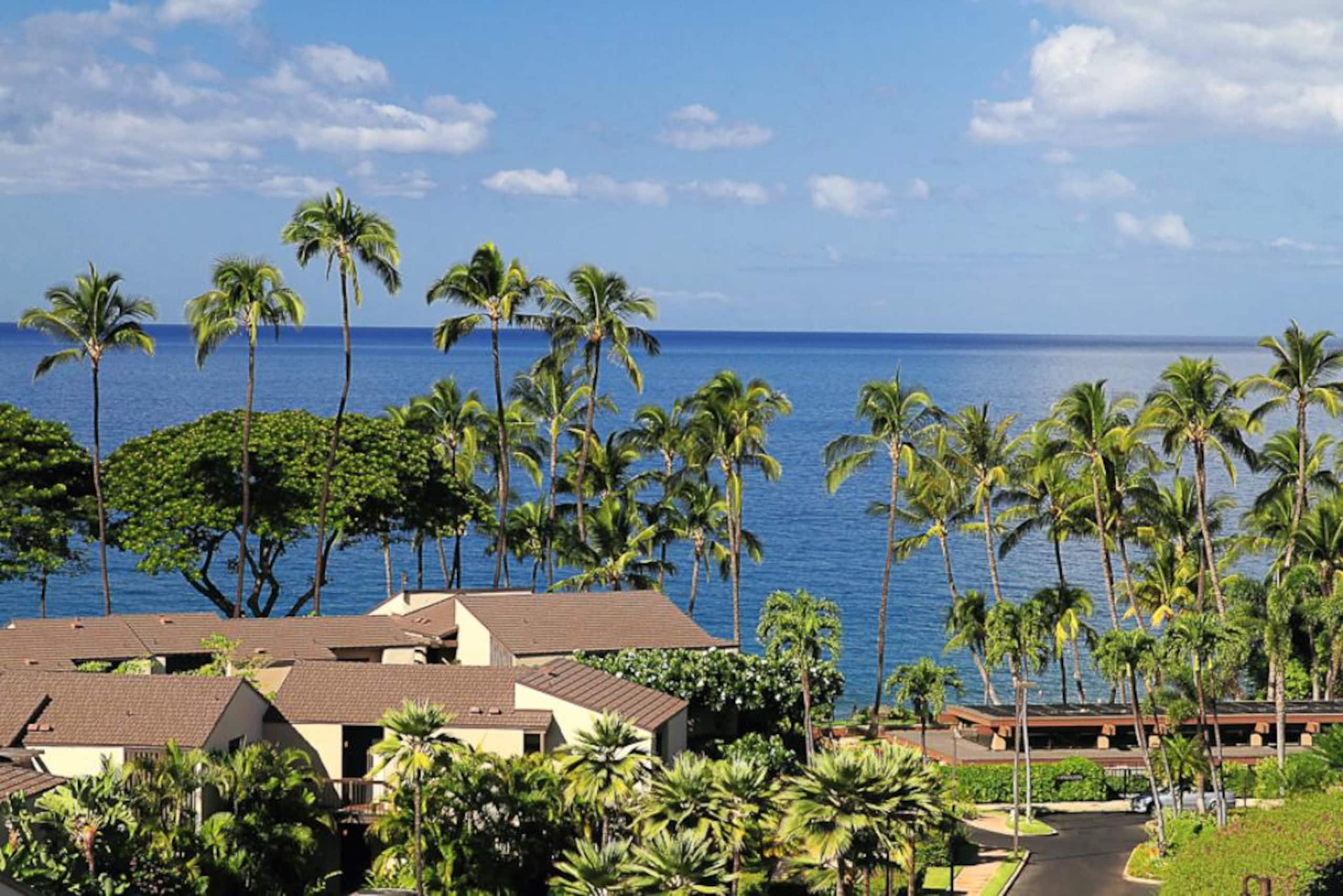 Condo in Wailea · ★5.0 · 1 bedroom · 1 bed · 2 baths - Image 6