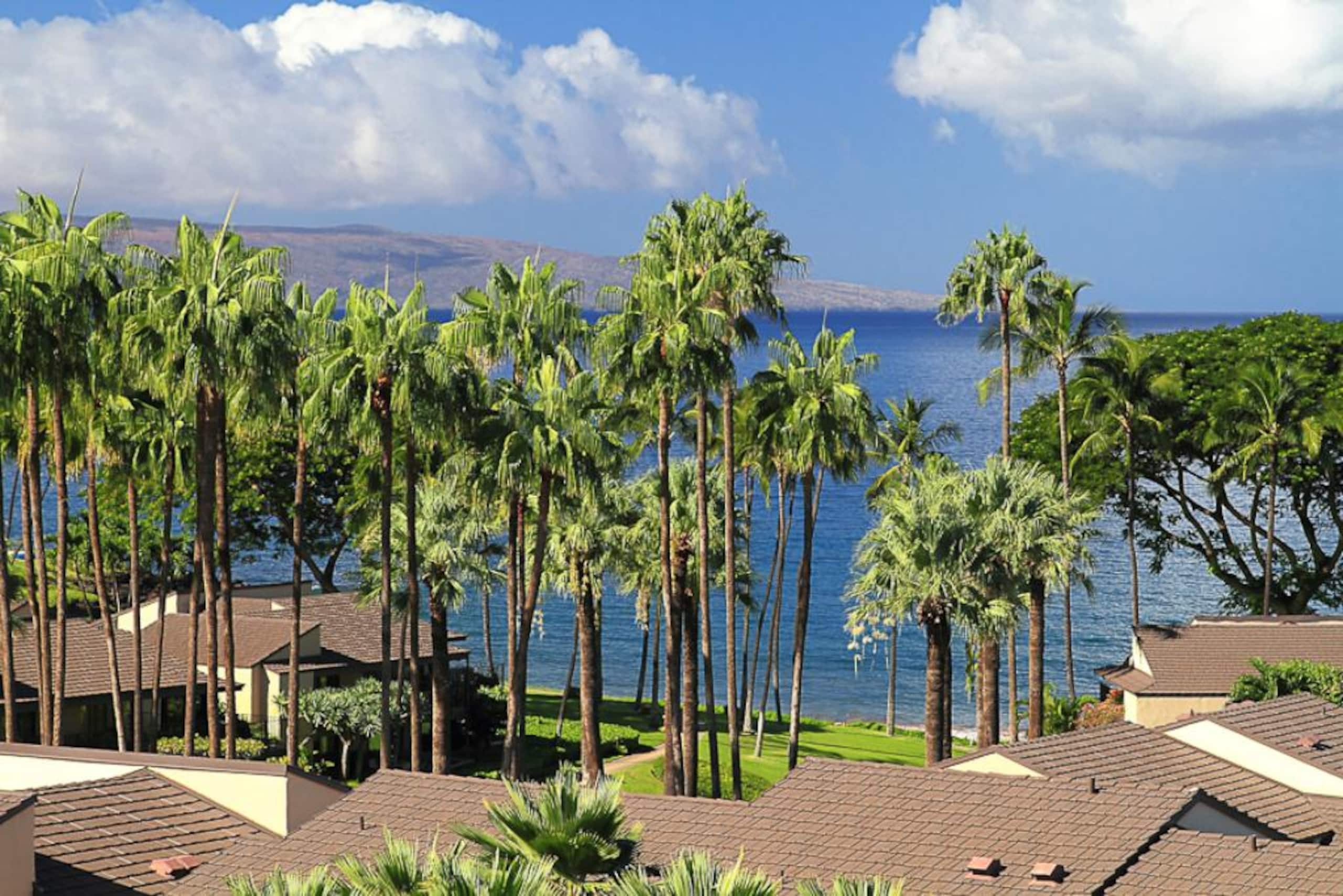 Condo in Wailea · ★5.0 · 1 bedroom · 1 bed · 2 baths - Image 7