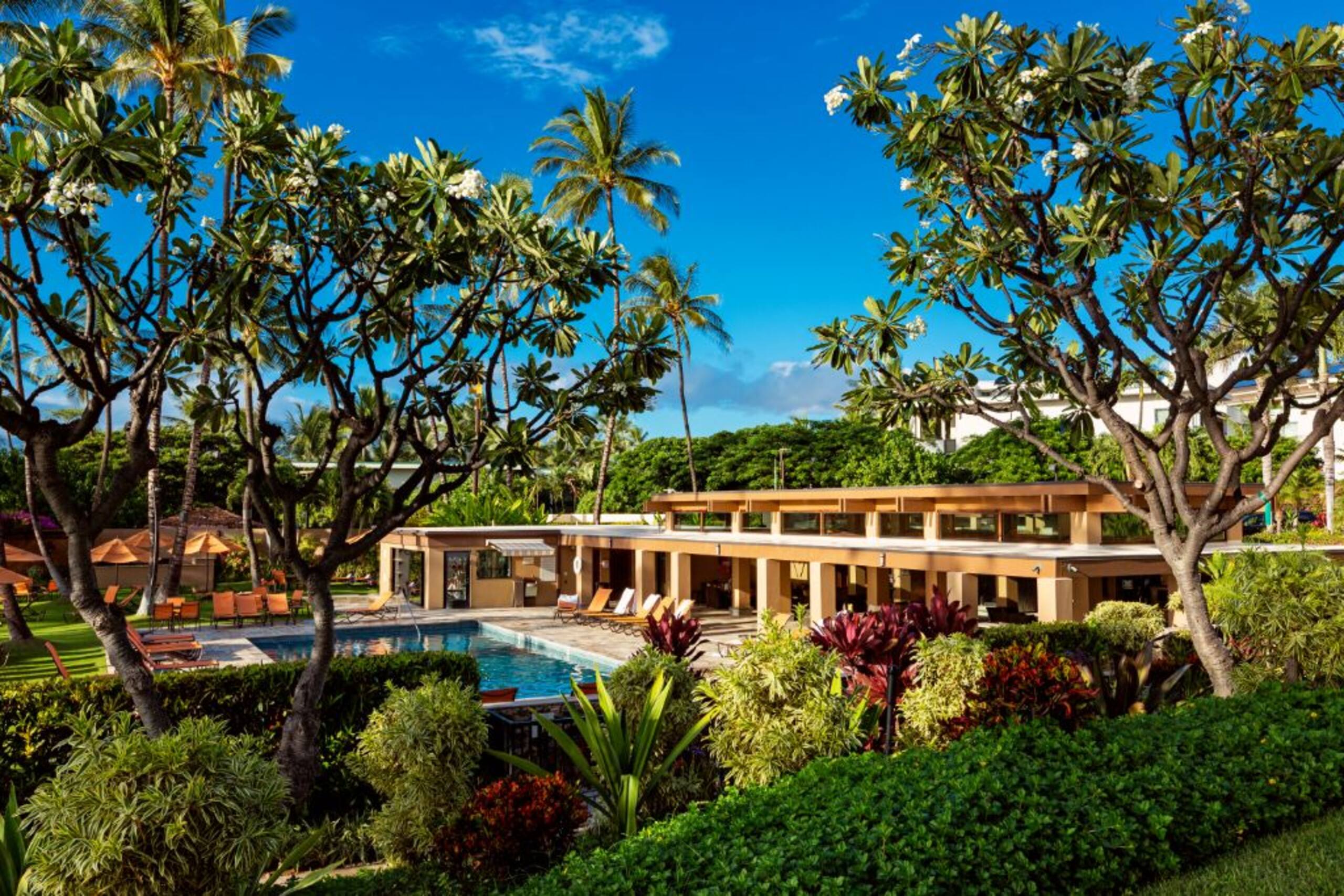 Condo in Wailea · ★5.0 · 1 bedroom · 1 bed · 2 baths - Image 23