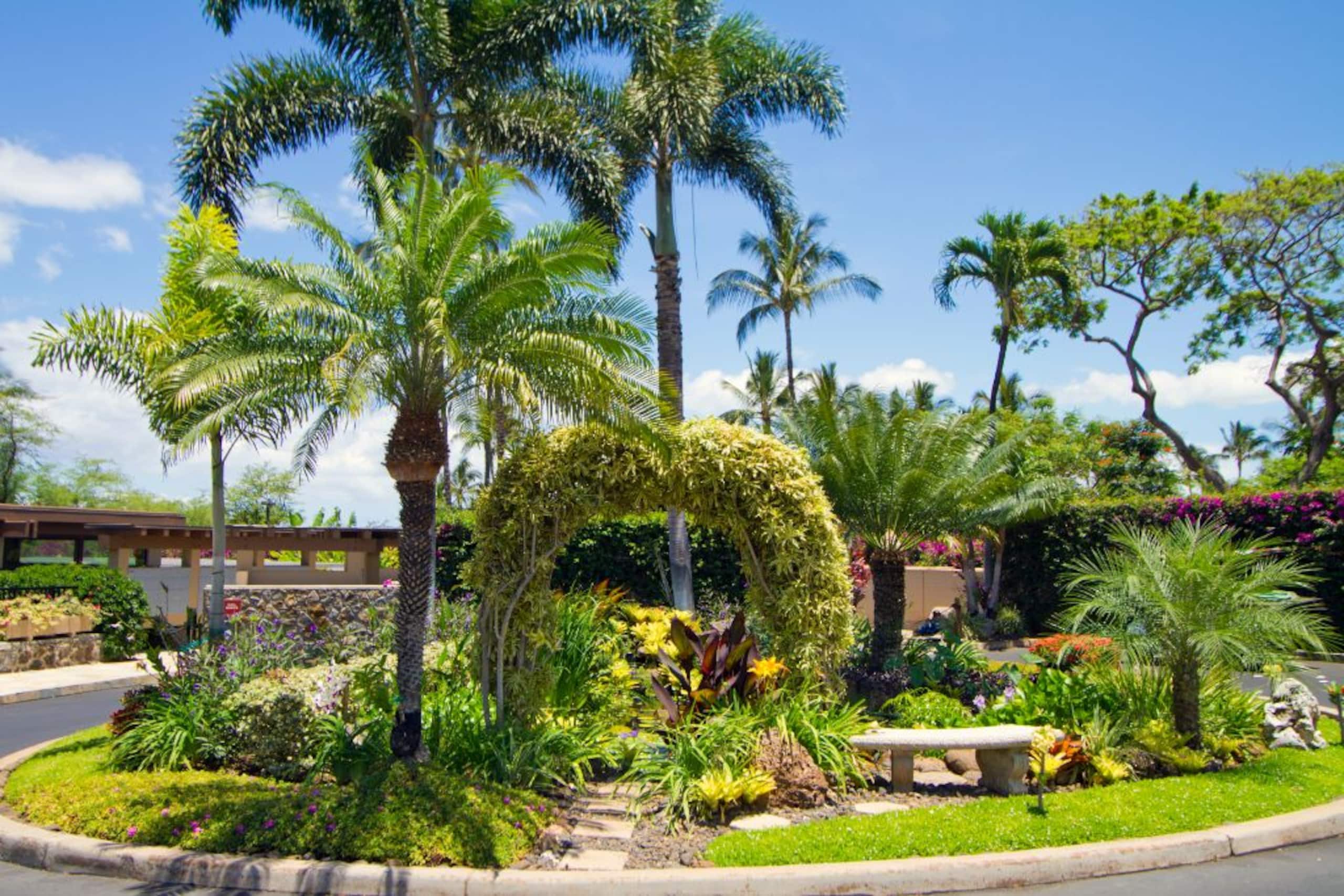 Sweeping Ocean Views - Wailea Elua 2010 - Photo 27