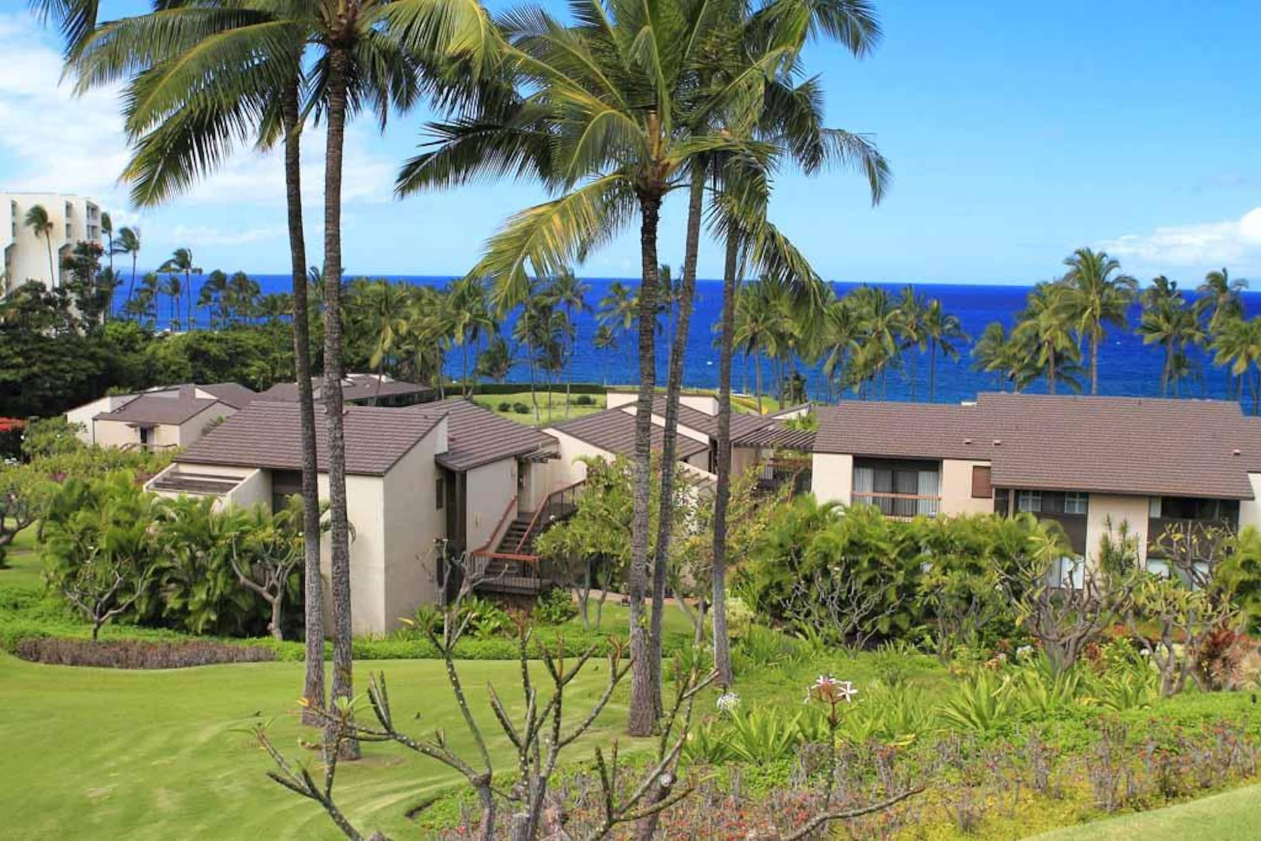 Sweeping Ocean Views - Wailea Elua 2010 - Photo 8