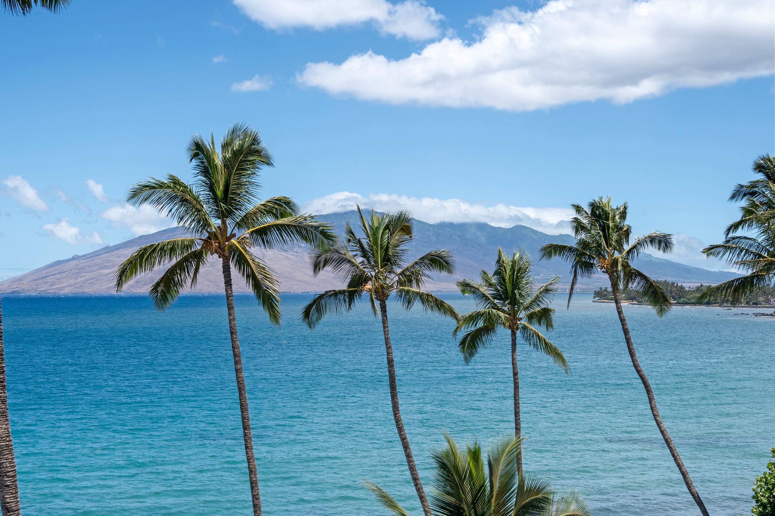 Condo in Kihei · ★5.0 · 2 bedrooms · 3 beds · 2 baths - Image 34